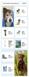 Walmart flyer Page 13