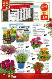 Hellweg Prospekt woche 23 Seite 14