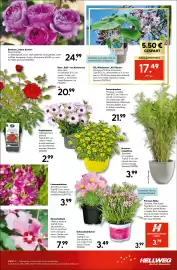 Hellweg Prospekt woche 23 Seite 15