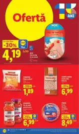 Catalog Lidl săptămâna 24 Pagină 10