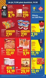 Catalog Lidl săptămâna 24 Pagină 29