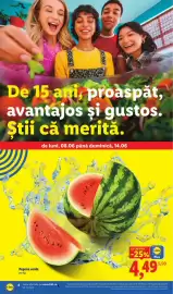 Catalog Lidl săptămâna 24 Pagină 4