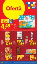 Catalog Lidl săptămâna 24 Pagină 8