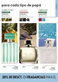 Catálogo Oriflame Página 17