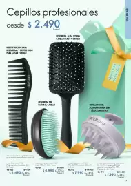 Catálogo Oriflame Página 29