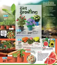 Metro flyer Page 3