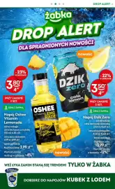 Żabka gazetka Strona 13