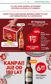 Żabka gazetka Strona 46