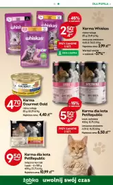 Żabka gazetka Strona 99