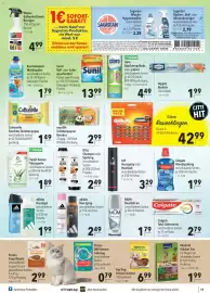 CITTI Markt Prospekt woche 23 Seite 15