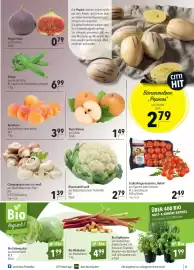 CITTI Markt Prospekt woche 23 Seite 5