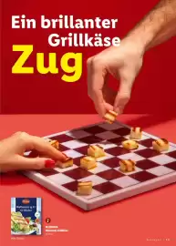 Lidl Prospekt | Grillen Seite 13