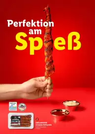 Lidl Prospekt | Grillen Seite 17