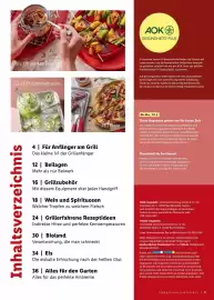 Lidl Prospekt | Grillen Seite 3