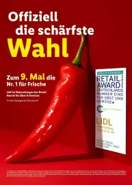 Lidl Prospekt | Grillen Seite 31
