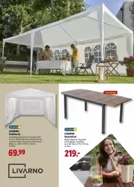Lidl Prospekt | Grillen Seite 37