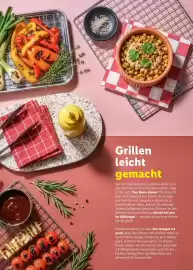 Lidl Prospekt | Grillen Seite 4