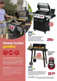 Lidl Prospekt | Grillen Seite 6