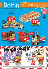 Delfin gazetka Strona 1