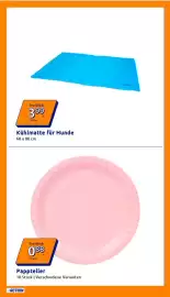 Action Prospekt woche 23 Seite 11
