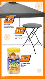 Action Prospekt woche 23 Seite 13