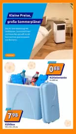 Action Prospekt woche 23 Seite 17