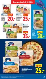 Lidl tilbudsavis uge 24 Side 19