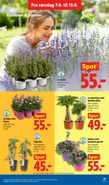 Lidl tilbudsavis uge 24 Side 30
