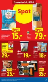 Lidl tilbudsavis uge 24 Side 9