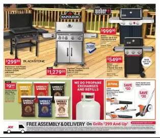 Ace Hardware flyer Page 3