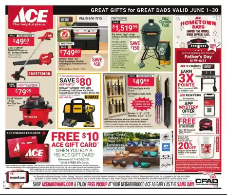 Ace Hardware flyer (valid until 30-06)