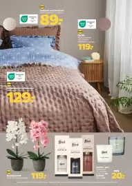 Netto tilbudsavis uge 23 Side 25
