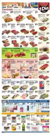 El Super weekly ad week 23 Page 3