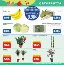 Volantino Coop Master Alleanza 3.0 | superstore Pagina 5
