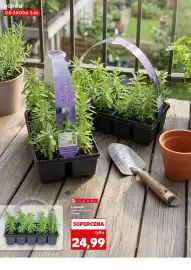 Kaufland gazetka tydzień 23 Strona 10