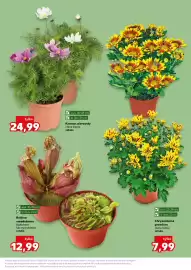 Kaufland gazetka tydzień 23 Strona 11