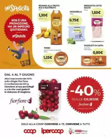 Volantino Ipercoop Pagina 15