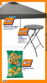Action gazetka tydzień 23 Strona 13