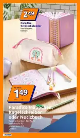 Action Flugblatt woche 23 Seite 10