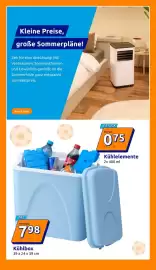 Action Flugblatt woche 23 Seite 17