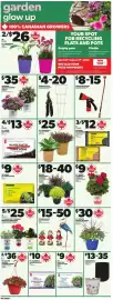 Loblaws flyer week 23 Page 14