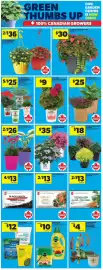 Real Canadian Superstore flyer week 23 Page 16