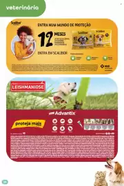 Folheto Pingo Doce | Bem Estar Página 30