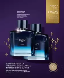 Catálogo L'bel Página 11
