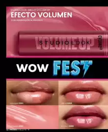 Catálogo Cyzone Página 40