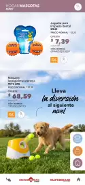 Catálogo Megamaxi Página 30