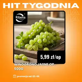 Delikatesy Ribena gazetka tydzień 23 Strona 2
