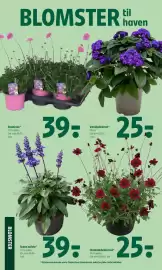 Coop 365 tilbudsavis uge 23 Side 25