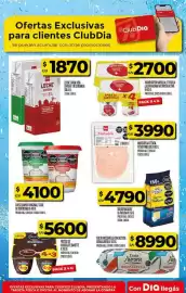 Folleto Supermercados DIA semana 23 Página 45