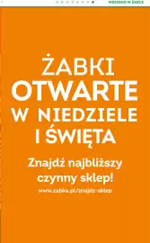 Żabka gazetka Strona 9